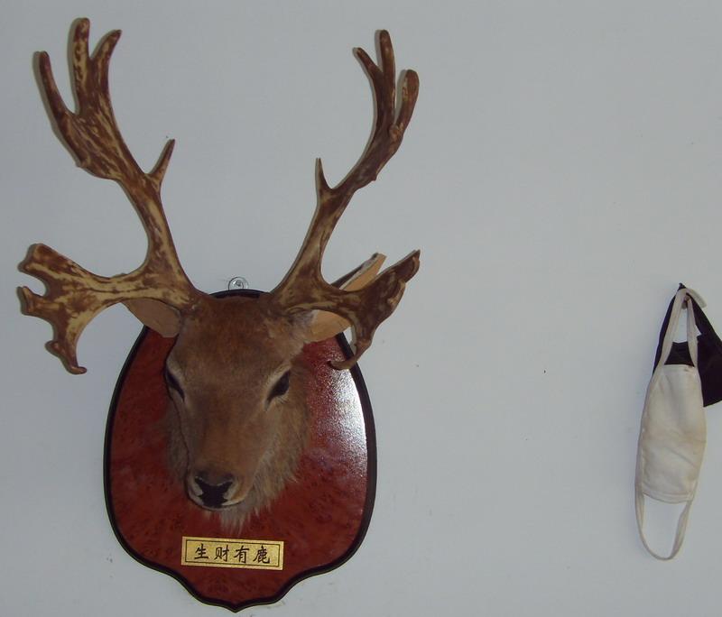 供应仿真动物标本鹿头艺术品壁挂装饰品