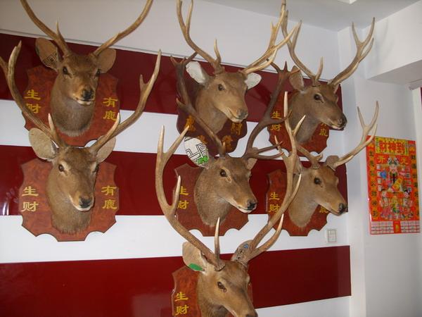 欧式壁挂壁炉装饰招财用品鹿头标本批发