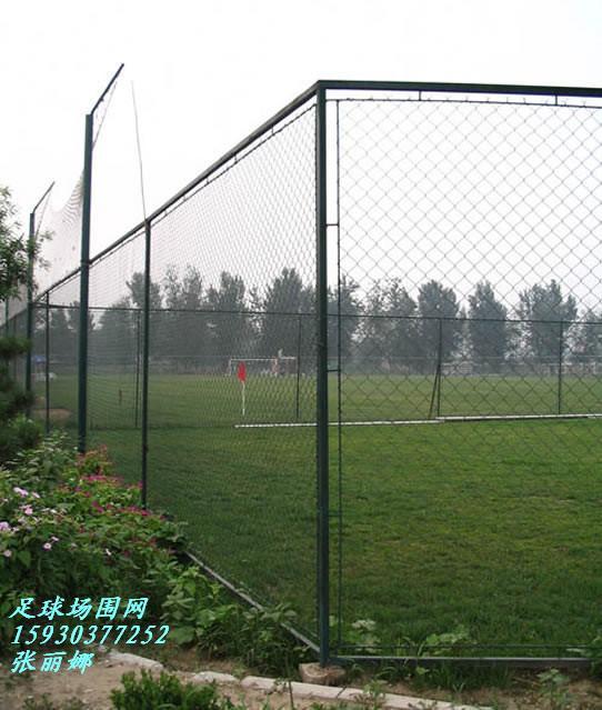供应网球场篮球场足球场运动场勾花围网，勾花网的规格，护栏网生产厂家图片
