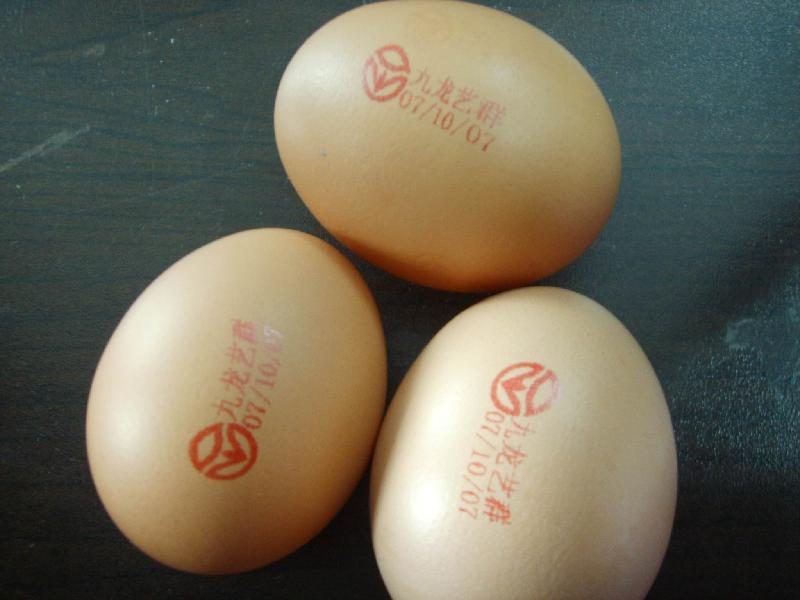 供应郑州鸡蛋喷码机