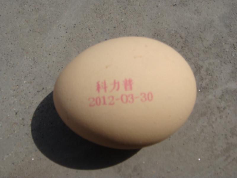 邢台市广东鸡蛋喷码机只需一点四万元厂家供应广东鸡蛋喷码机只需一点四万元