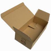供应纸盒飞机盒异型盒 纸盒厂家 长沙纸盒 长沙纸盒厂家|长沙纸盒供应商|纸盒包装|长沙纸盒批发|