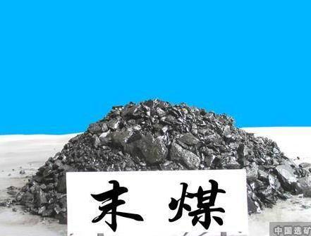供应用于锅炉燃料的广州煤炭
