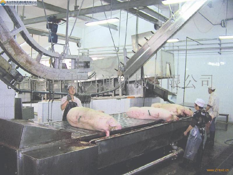 供应屠宰厂设备-生猪屠宰设备-屠宰场设备-卧式放血输送机