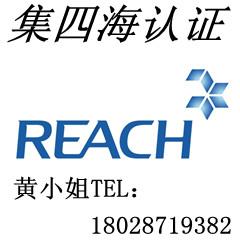 REACH检测报告第31条规定 REACH报告费用