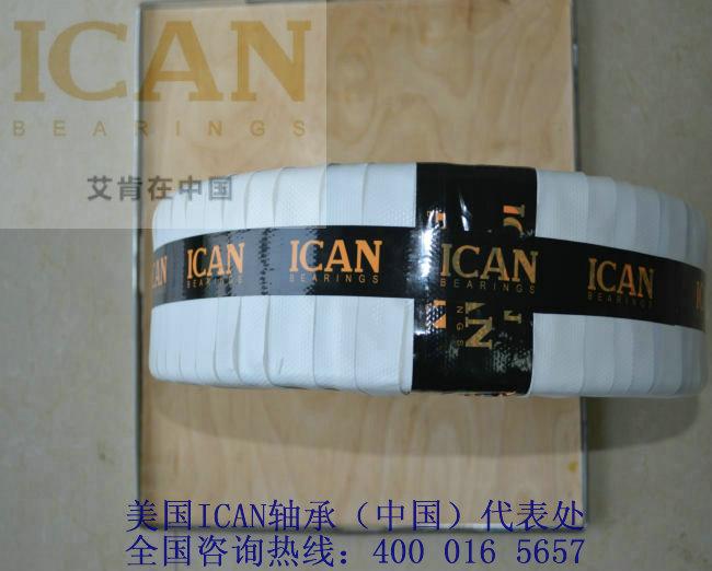 供应美国ICAN轴承详解轴承加工
