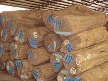 供应非濒危木材进口清关代理---东南亚原木进口黄埔报关清关代理 图片