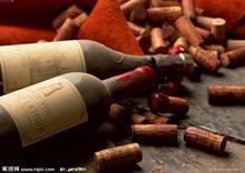 供应智利葡萄酒进口检验检疫需要的资料图片