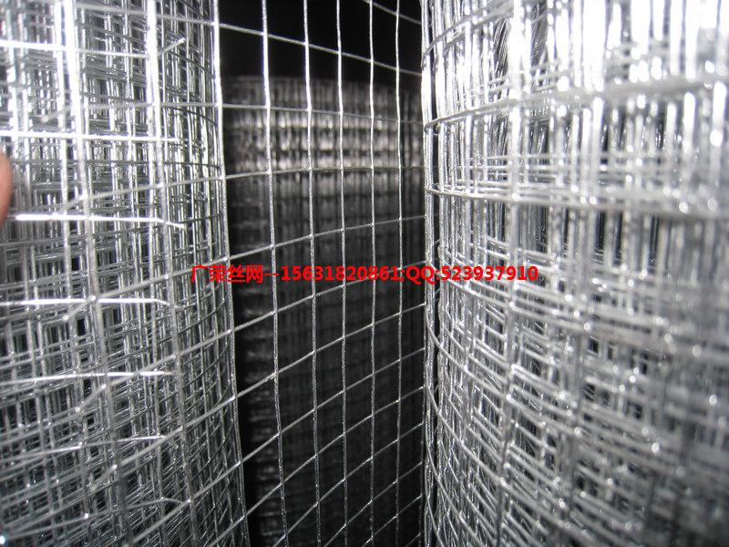 热镀锌电焊网、热镀锌钢丝网、热镀锌铁丝网