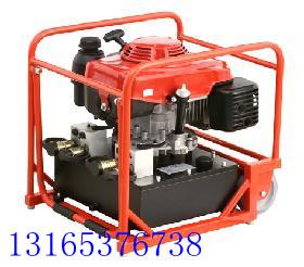 供应超高压液压机动泵