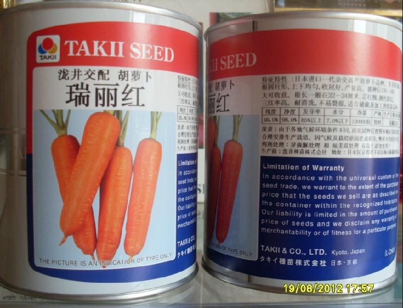 供应日本泷井交配瑞丽红七寸胡萝卜种子