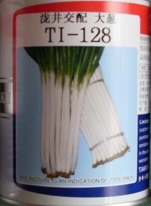 供应日本泷井交配TI-128大葱种子 