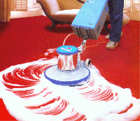 供应深圳地毯清洗公司