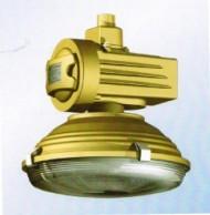 SBD1105，SBD1105-YQL120，免维护节能防爆灯，