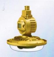 SBD6106，免维护节能防水防尘防腐灯，免维护电磁感应灯,