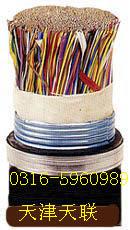 供应大对数通信电缆价格咨询，大对数通信电缆，大对数通信电缆报价
