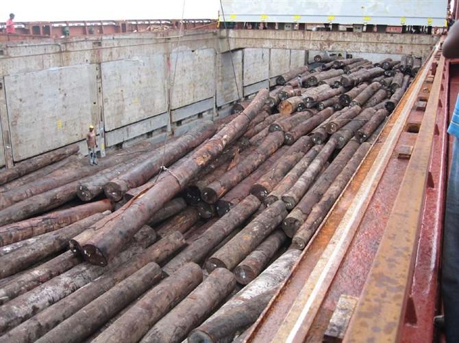 进口木材清关公司（广州）进口刚果/加蓬木材需要什么流程图片