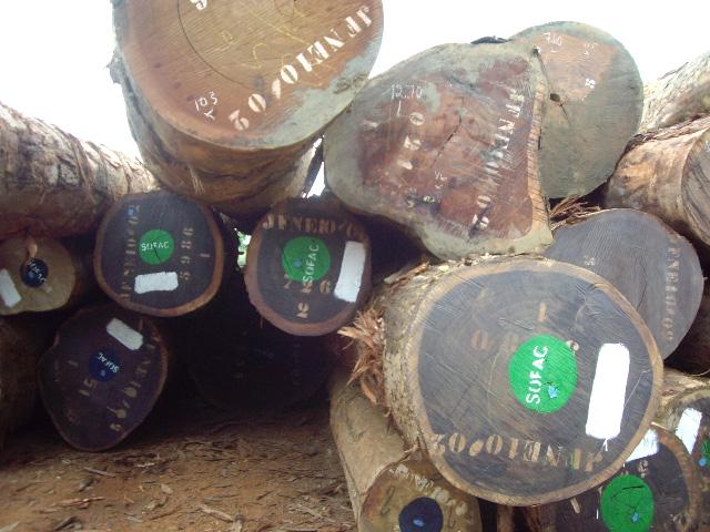 进口秘鲁/圭亚那木材需要的资料：申报/报关/通关资料