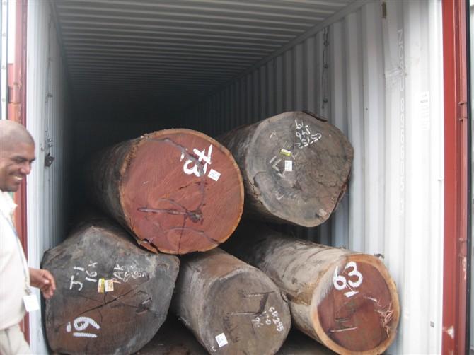 加拿大/巴西木材进口手续有哪些-木材进口清关手续/进口通关手续