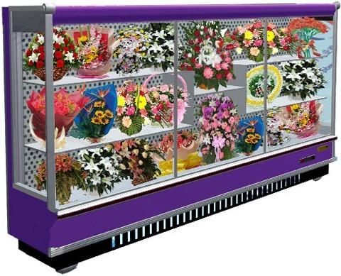 供应XHG-F型鲜花保鲜柜定做鲜花柜鲜花冷藏柜