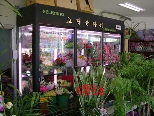 供应哪个牌子的鲜花柜质量好，广东鲜花柜，苏州鲜花柜，深圳鲜花柜，