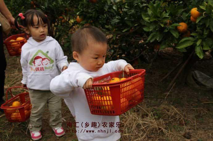 供应上海附近农家乐吃土菜采橘子喽