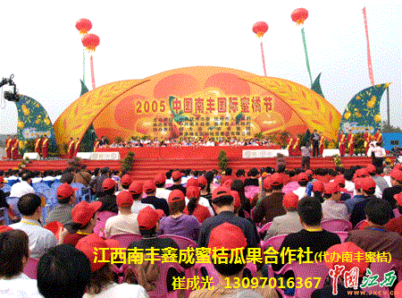 2012南丰蜜桔价格2012南丰蜜桔价格，江西南丰蜜桔行情咨询