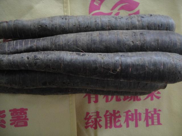 供应中国黑胡萝卜