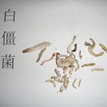 供应生物农药