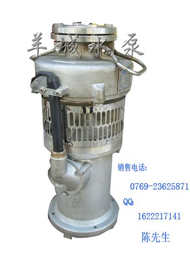深圳泵业不锈钢潜水电泵喷泉泵批发