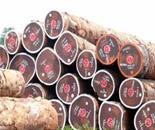 印度檀香紫檀进口公司专业木材原木批发