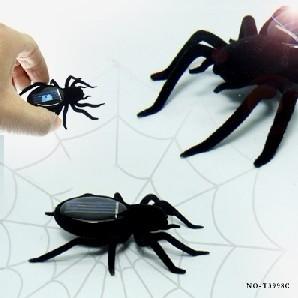 太阳能驱动黑蜘蛛 太阳能迷你昆虫图片