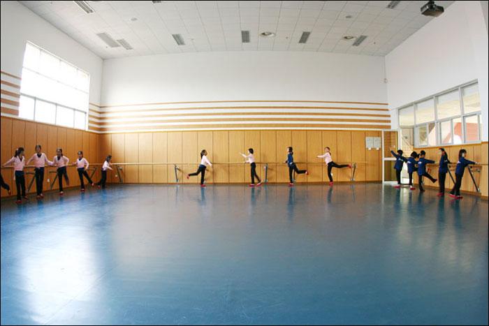 北京市进口舞台地板专业舞蹈地胶厂家厂家