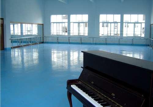 北京市进口舞台地板专业舞蹈地胶厂家厂家供应进口舞台地板专业舞蹈地胶厂家