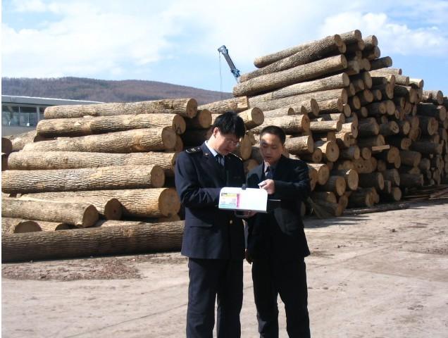 上海港木材进口报关代理图片