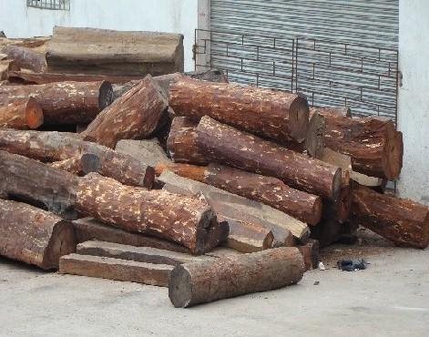 巴西黑黄檀北滘港进口报关顺德木材进口清关流程图片