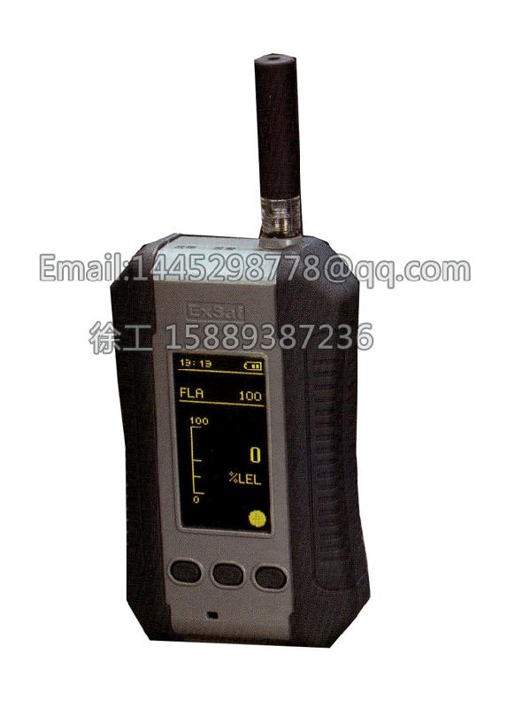 供应ESP210便携式气体报警探测器