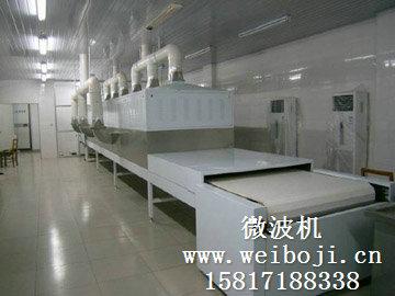 供应广州厂家红枣干果坚果食品干燥杀菌设备