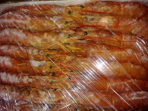 供应阿根廷红虾