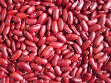 供应红芸豆