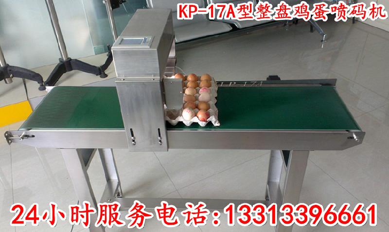 供应石家庄/天津环保型小字符红墨鸡蛋喷码机来电13313396661