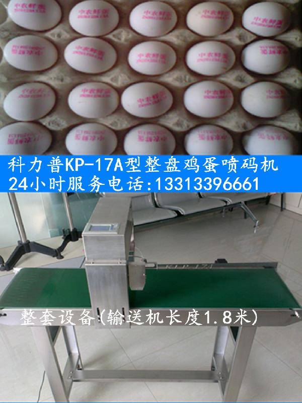 整盘鸡蛋喷码机-小型全新天津鸡蛋喷码机销售价格-天津鸡蛋打码机