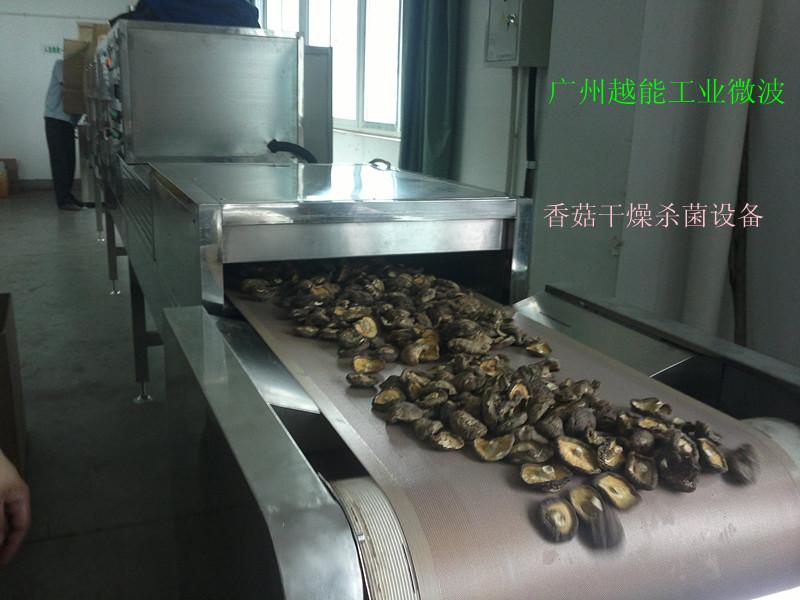 供应广州微波干燥杀菌设备厂家