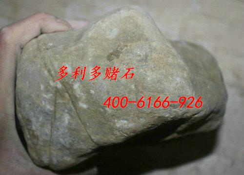 供应翡翠原石市场价格北京翡翠原石网