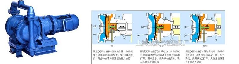 上海市DBY-100电动隔膜泵厂家