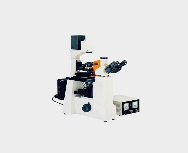 供应 三目 倒置荧光显微镜 可配工业相机 测量软件 自动统计数量图片