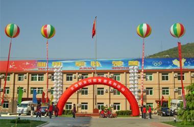 庆典活动专用充气热气球出租电话 北京市庆典活动专用充气热气球出租电话