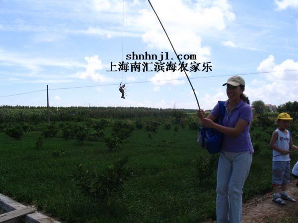 供应上海农家乐推荐 自驾游 旅游攻略