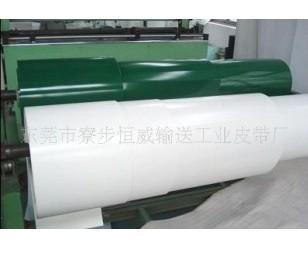 供应流水线传送带厂家直销PVC3.0mm白色食品输送带卷料