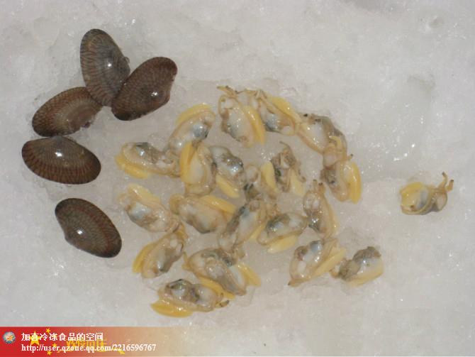 供应冻花蛤（花甲螺）肉